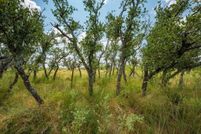 Property for sale in Menard County, Texas