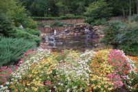 Property for sale in Madison County, Alabama