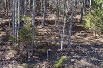 Undeveloped Land for sale in DeKalb County, Alabama