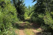 Undeveloped Land for sale in Rutherford County, North Carolina