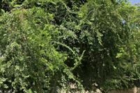 Property for sale in Philadelphia County, Pennsylvania