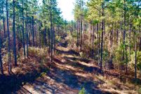 Undeveloped Land for sale in Clarke County, Alabama