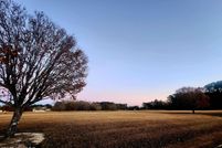 Undeveloped Land for sale in Pamlico County, North Carolina