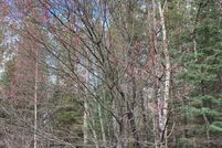 Undeveloped Land for sale in Marathon County, Wisconsin