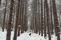 Property for sale in Burnett County, Wisconsin