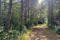 Undeveloped Land for sale in Sherburne County, Minnesota
