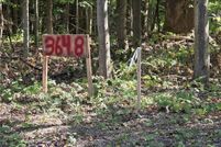 Undeveloped Land for sale in Ashtabula County, Ohio