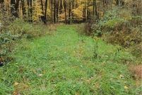 Undeveloped Land for sale in Ashtabula County, Ohio