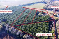 Undeveloped Land for sale in Orangeburg County, South Carolina