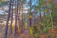 Undeveloped Land for sale in Cass County, Texas