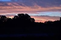 Undeveloped Land for sale in Polk County, Missouri