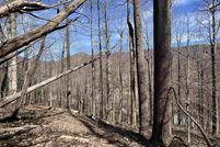 Undeveloped Land for sale in Nelson County, Virginia