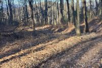 Undeveloped Land for sale in Swain County, North Carolina