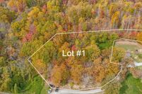 Property for sale in Scott County, Virginia