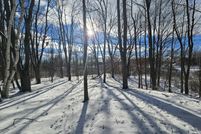 Undeveloped Land for sale in Mecosta County, Michigan