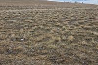 Commercial Property for sale in Moffat County, Colorado