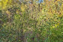 Undeveloped Land for sale in DuPage County, Illinois