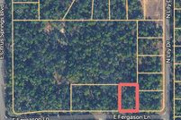 Undeveloped Land for sale in Citrus County, Florida