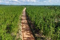 Farm Property for sale in Appling County, Georgia