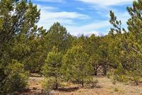 Undeveloped Land for sale in Custer County, Colorado