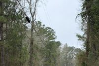 Property for sale in Jones County, Mississippi