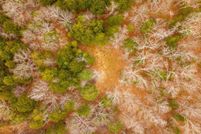 Undeveloped Land for sale in Oregon County, Missouri