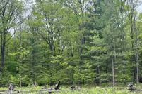 Undeveloped Land for sale in Grand Traverse County, Michigan