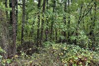 Undeveloped Land for sale in Fulton County, Arkansas