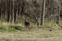 Waterfront Property for sale in Columbia County, Wisconsin