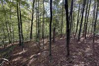 Undeveloped Land for sale in Spartanburg County, South Carolina
