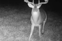 Undeveloped Land for sale in Cass County, Texas