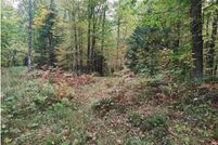 Undeveloped Land for sale in Houghton County, Michigan