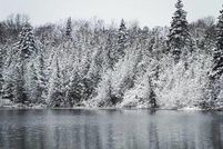 Undeveloped Land for sale in Luce County, Michigan