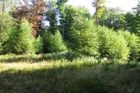 Property for sale in Allegany County, New York