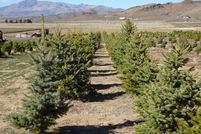 Property for sale in Washoe County, Nevada