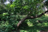 Farm Property for sale in Lake County, Illinois