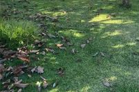 Undeveloped Land for sale in Lake County, California