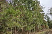 Property for sale in Lane County, Oregon