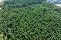 Undeveloped Land for sale in Lane County, Oregon