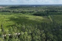 Undeveloped Land for sale in Wayne County, Georgia