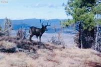 Property for sale in Grant County, Oregon