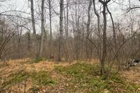 Undeveloped Land for sale in Culpeper County, Virginia