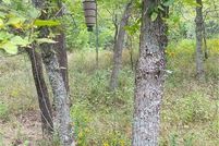 Waterfront Property for sale in Franklin County, Kansas