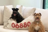 Property for sale in Fairfield County, Connecticut