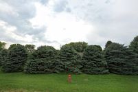 Property for sale in Woodbury County, Iowa