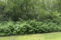 Property for sale in Litchfield County, Connecticut