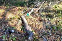 Property for sale in Leon County, Florida