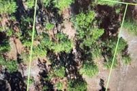 Lakefront Property for sale in Bladen County, North Carolina