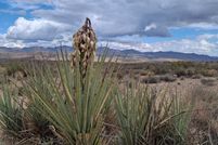 Property for sale in Riverside County, California