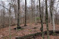 Property for sale in Menifee County, Kentucky